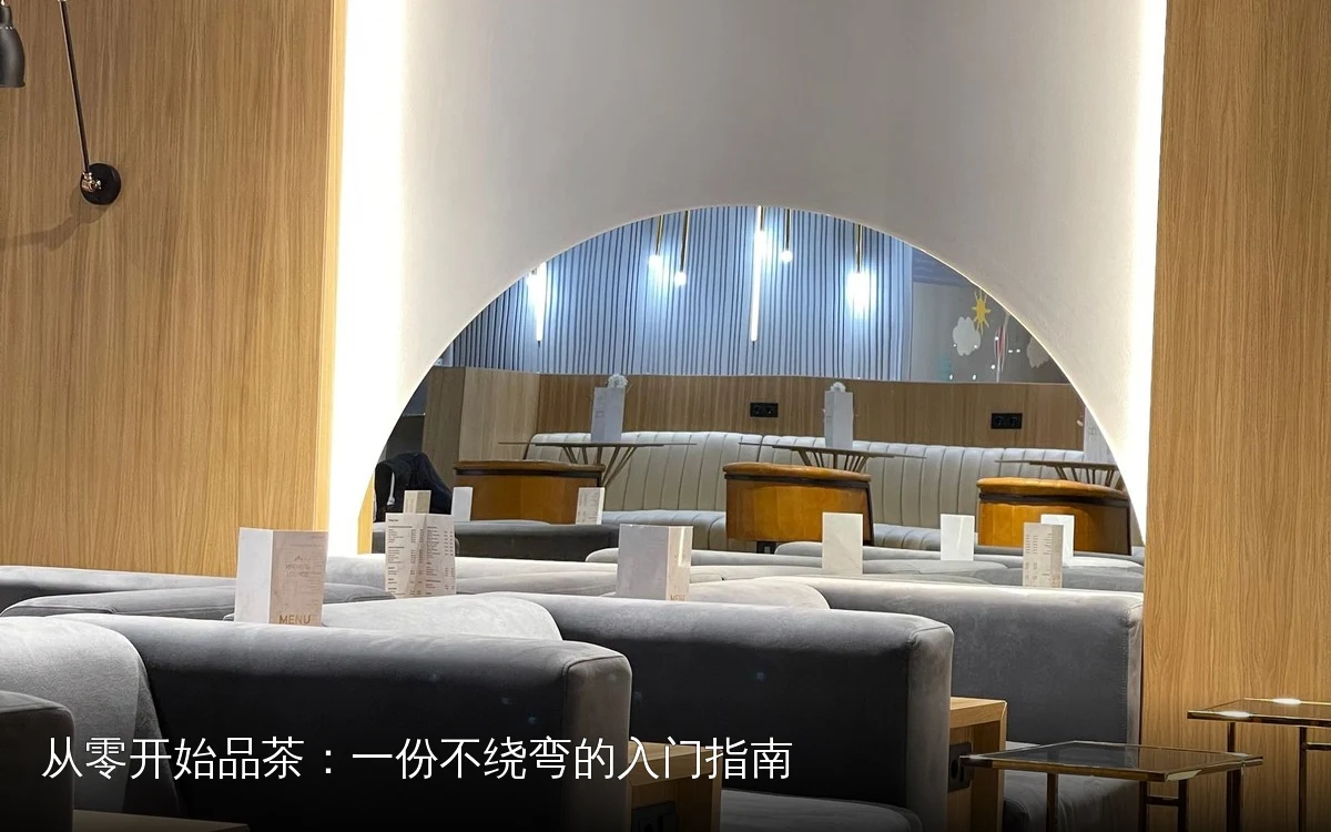 从零开始品茶：一份不绕弯的入门指南